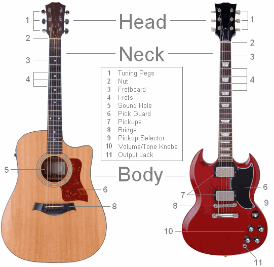 acoustic-vs-electric-guitar.png