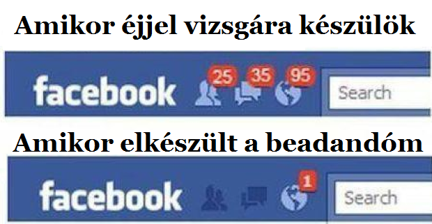 vizsga_elott_utan.png