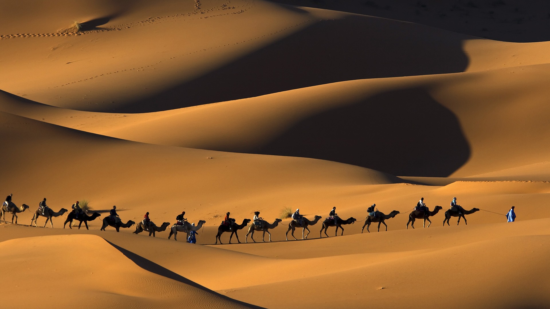 sahara.jpg