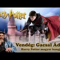Vendég: GACSAL ÁDÁM, HARRY POTTER magyar hangja - Podcast Plus #13