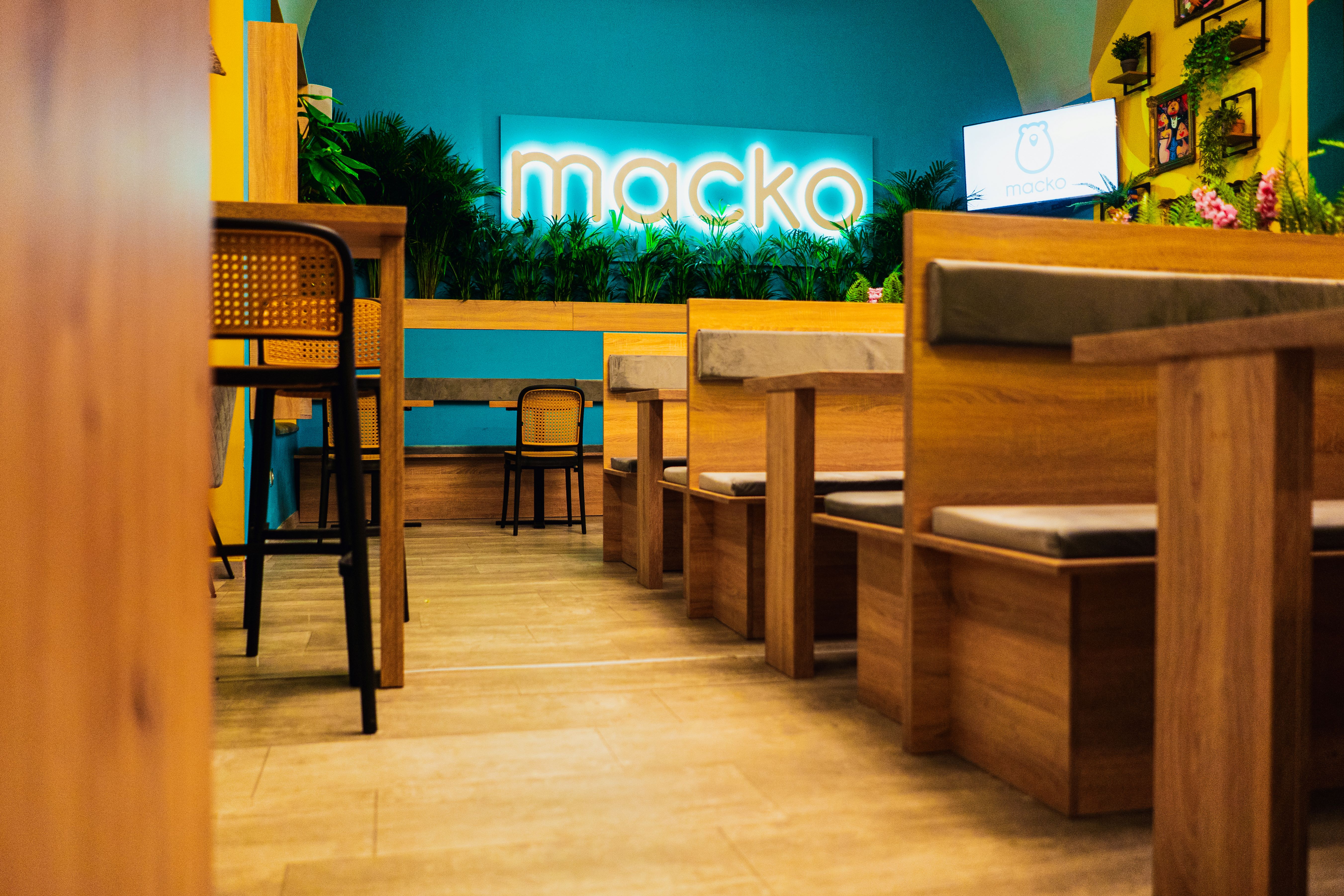 2026_01_20_macko-43.jpg