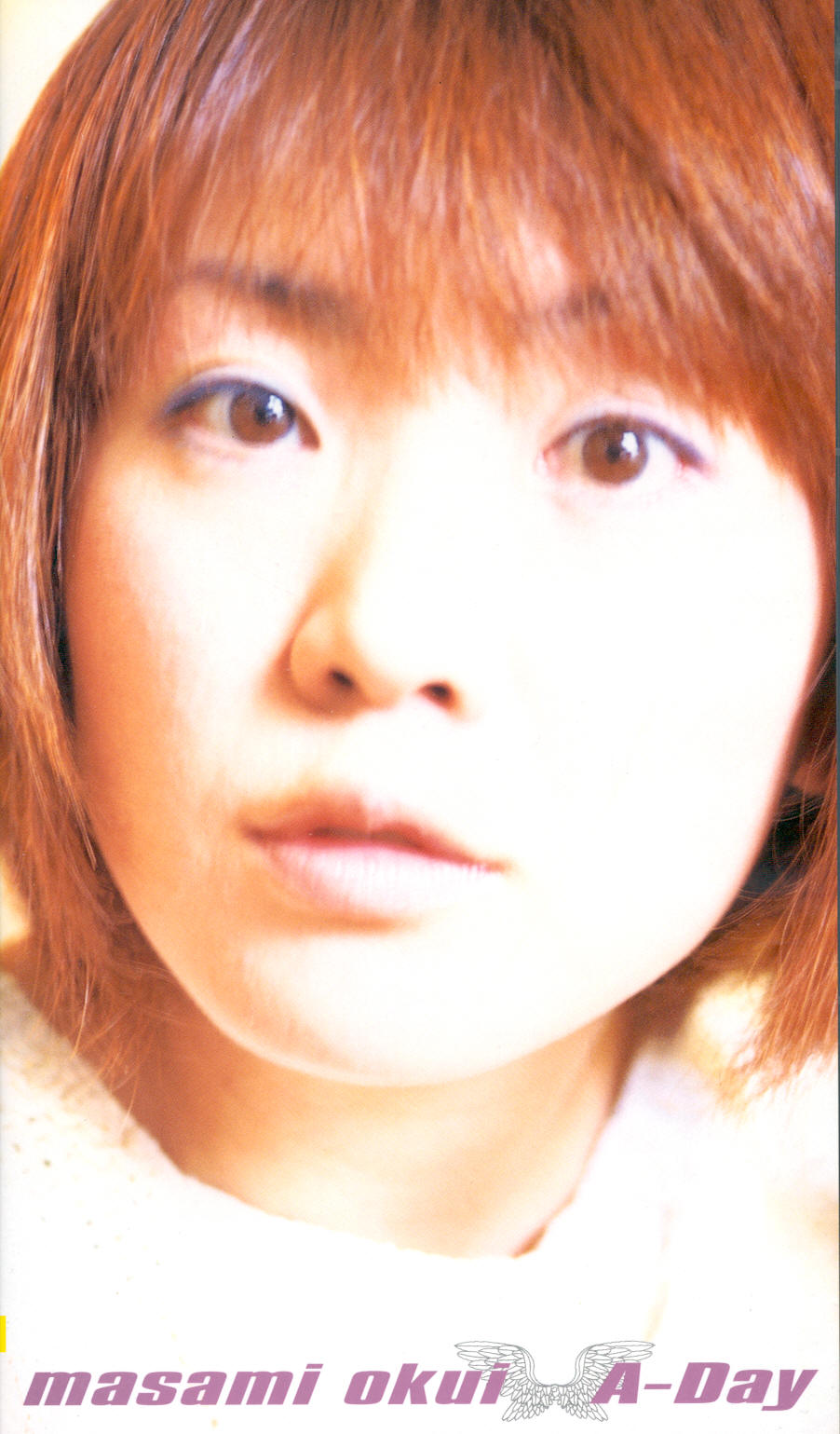 okui_masami_a-day_vhs.jpg