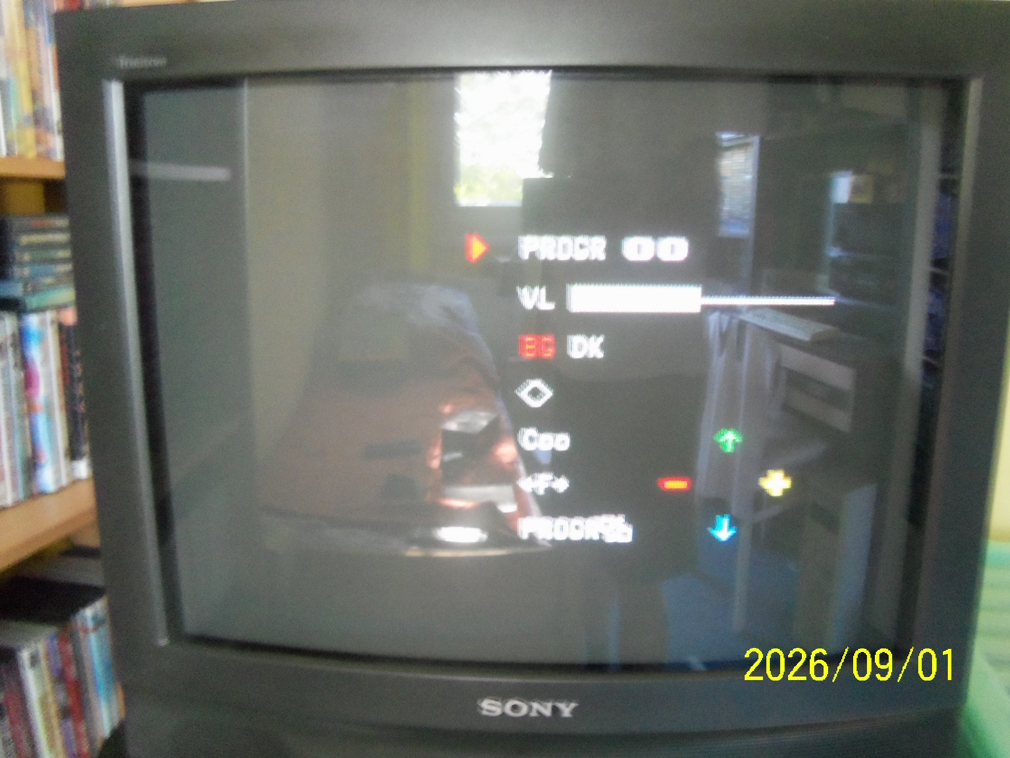 100e3944.JPG