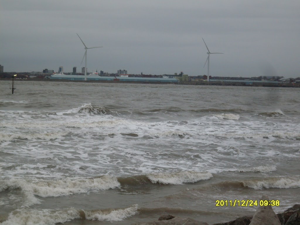 sdc10287.JPG