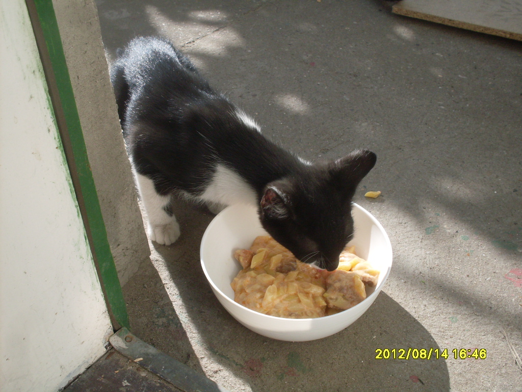 sdc10647.jpg