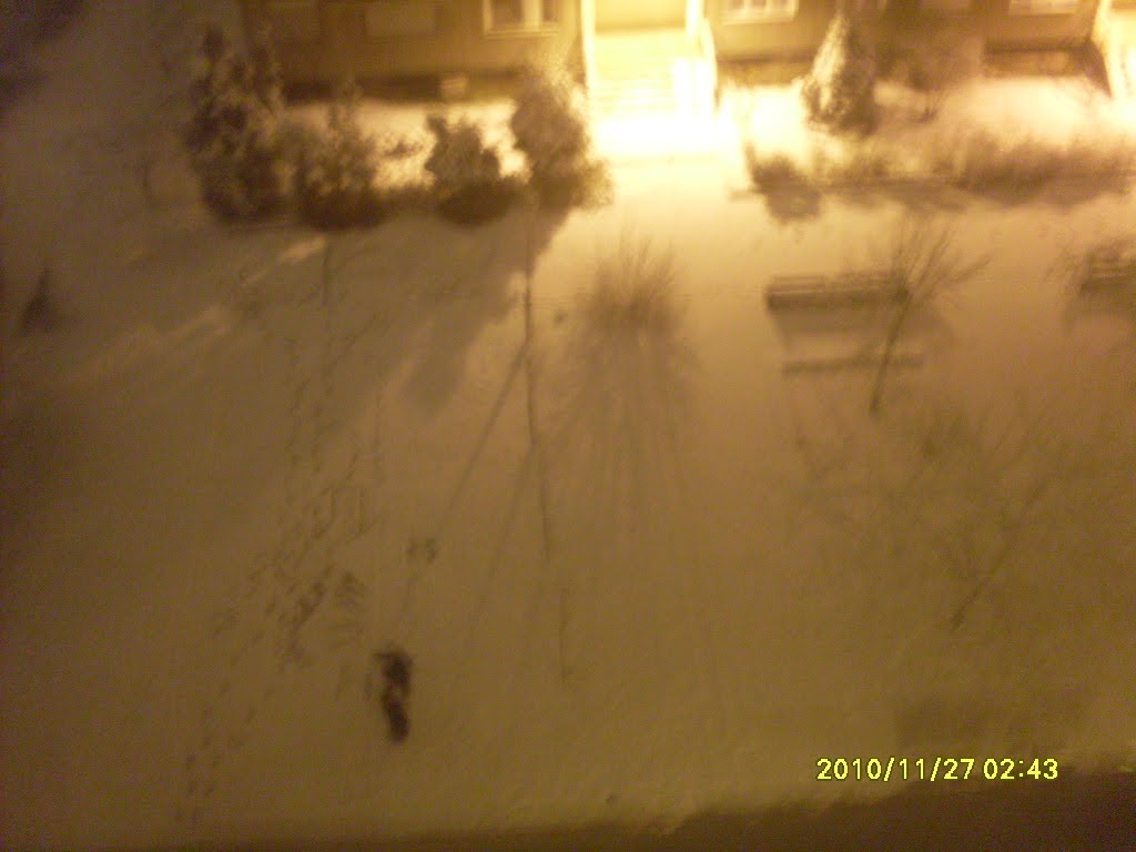 sdc10792.JPG