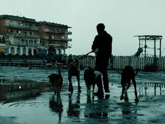 Az alvilágnak nincs romantikája - Dogman - Kutyák királya