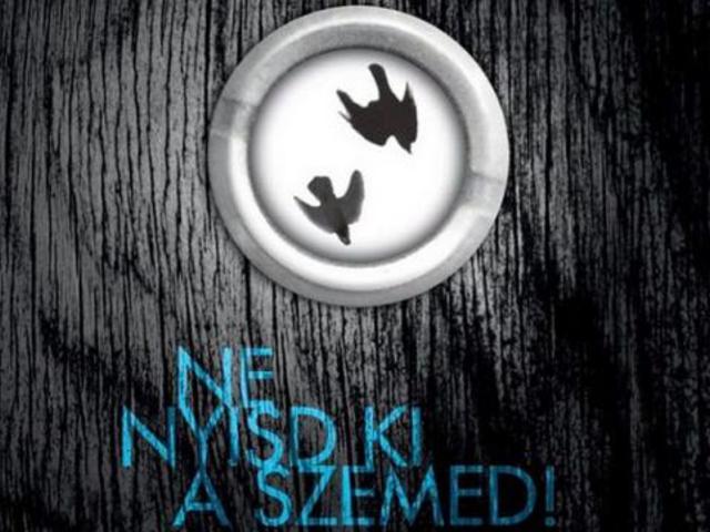 Josh Mallerman - Madarak a dobozban