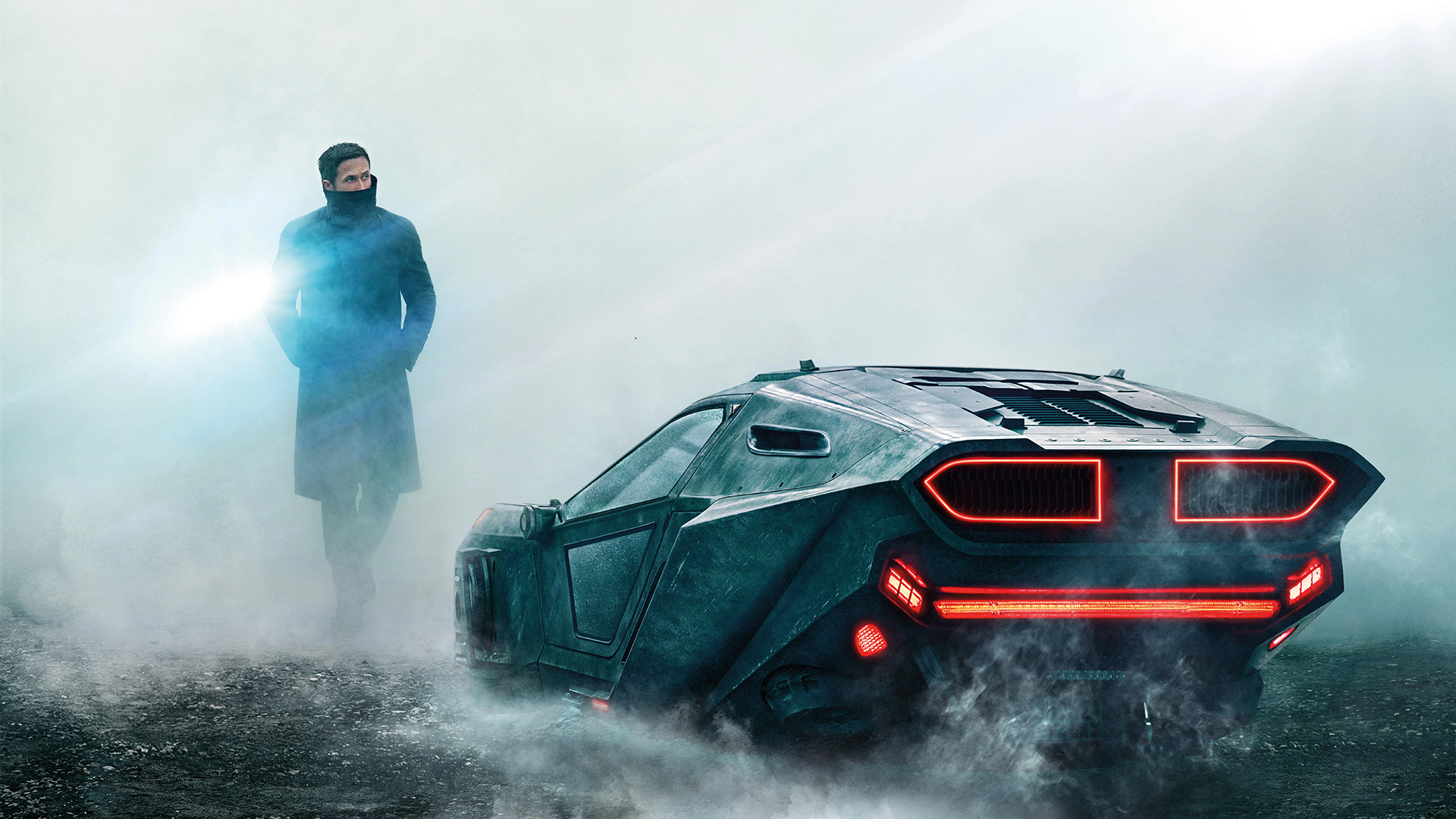 br20491.jpg