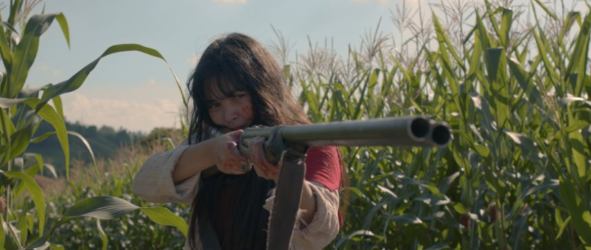 birdshot.PNG