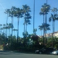 Beverly Hills, Hair, Sunset boulvard - mi kell még?