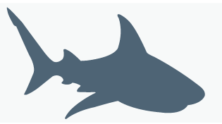 great_white_shark_info_graphic.gif