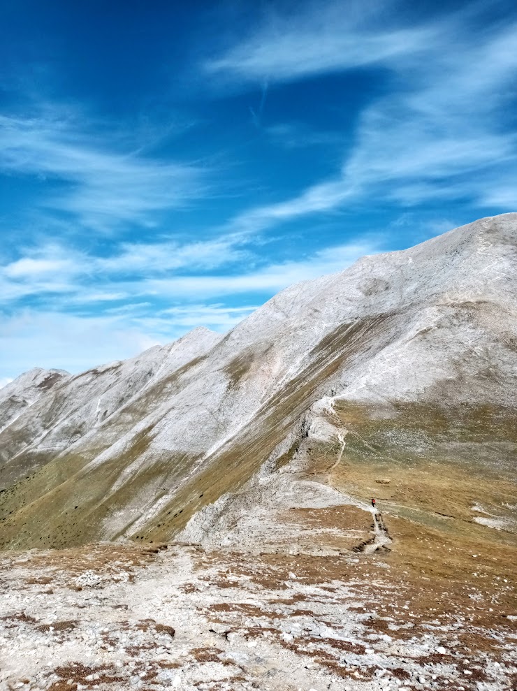 bihraen3.jpg