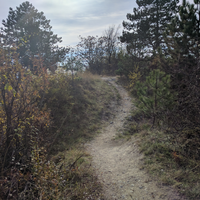 WadkanZ Trail Törökbálint M