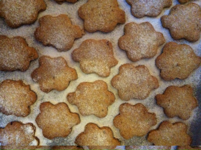 photo 3_1.JPG