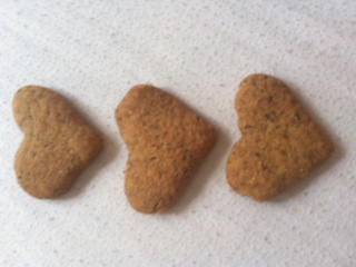photo 5_2.JPG