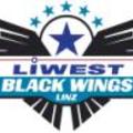 EHC Liwest Black Wings Linz vs. HK Acroni Jesenice (hokimeccs)