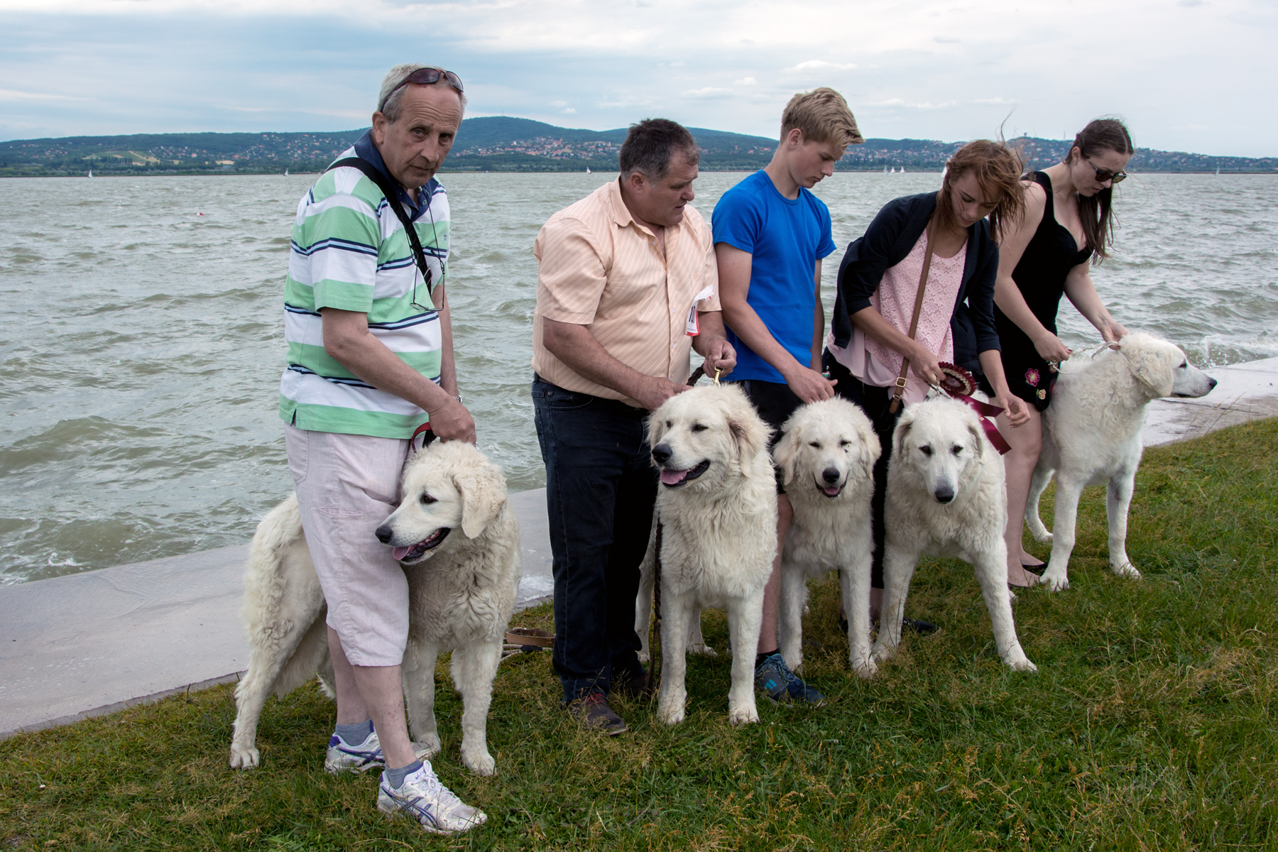 17_06_10_halasi_pasztor_15.jpg