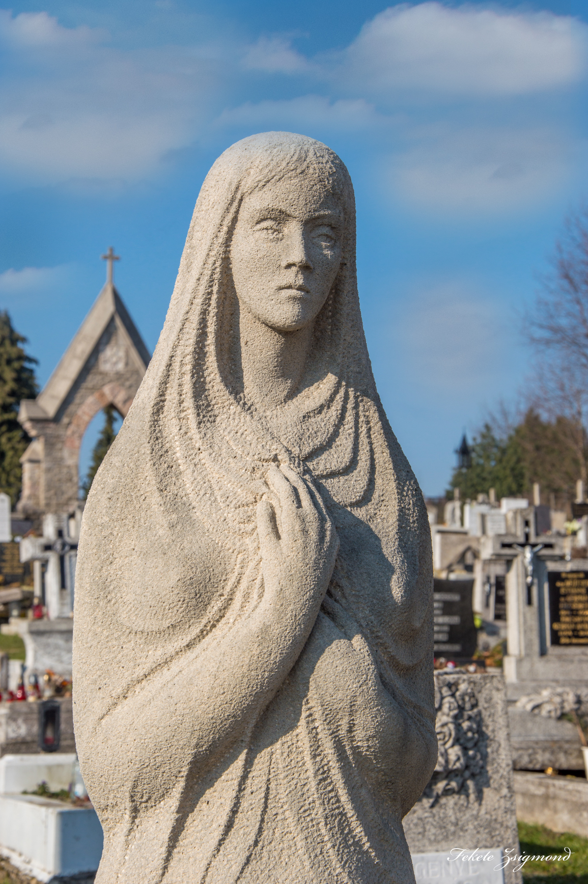dsc_0740_1.jpg
