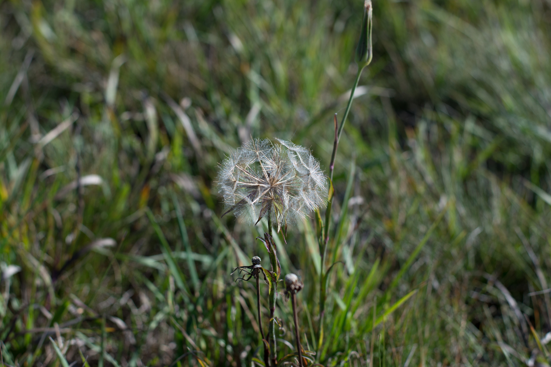 dsc_5882.jpg