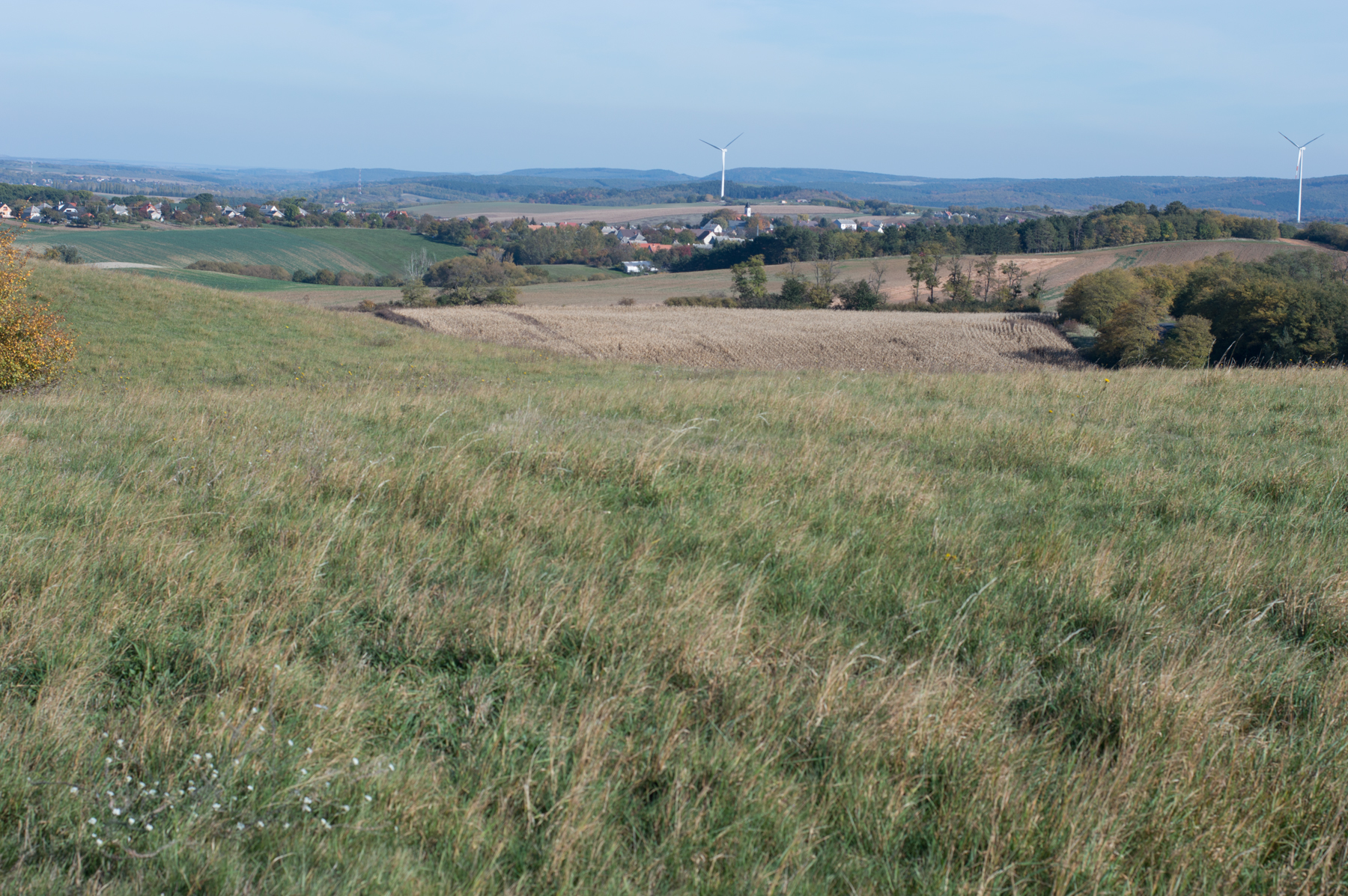 dsc_5888.jpg