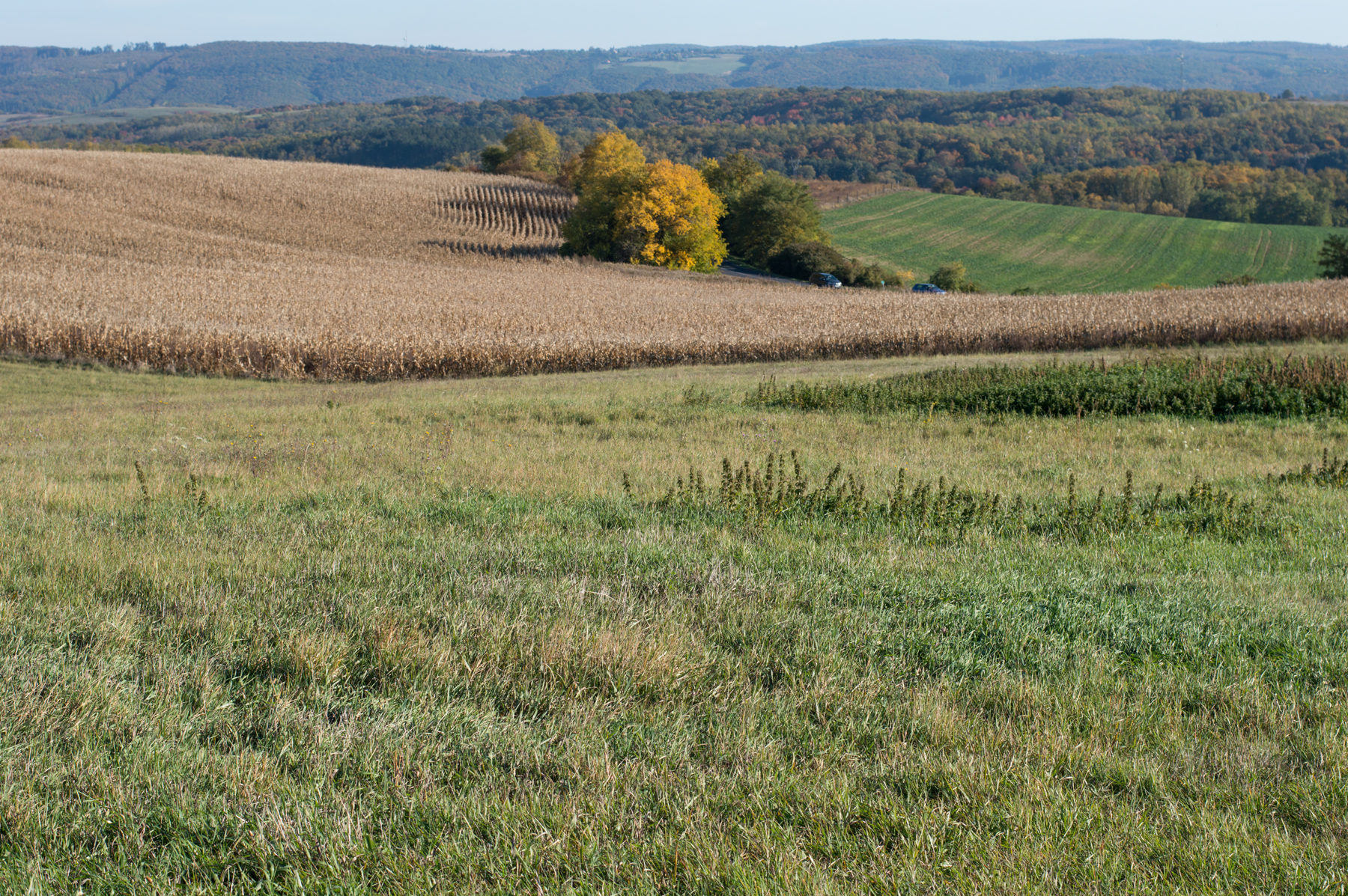 dsc_5934.jpg