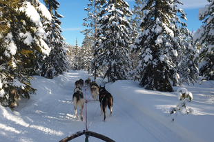 12 ok, amiért érdemes télen Svédországba utazni