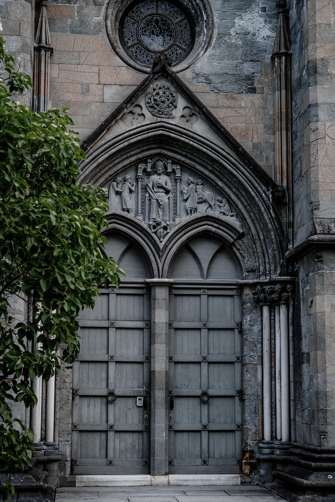 dscf0488.jpg