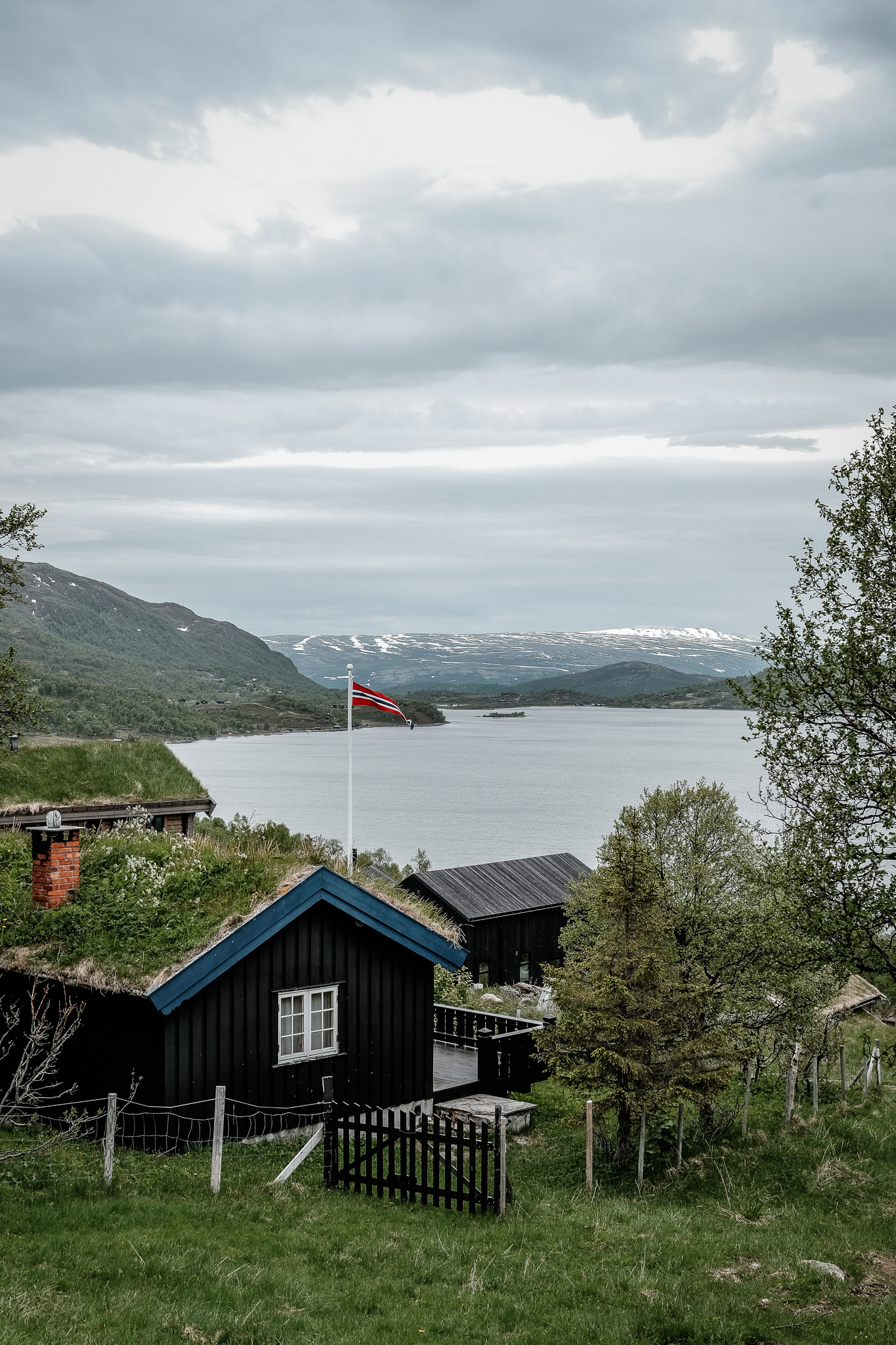 dscf0655.jpg