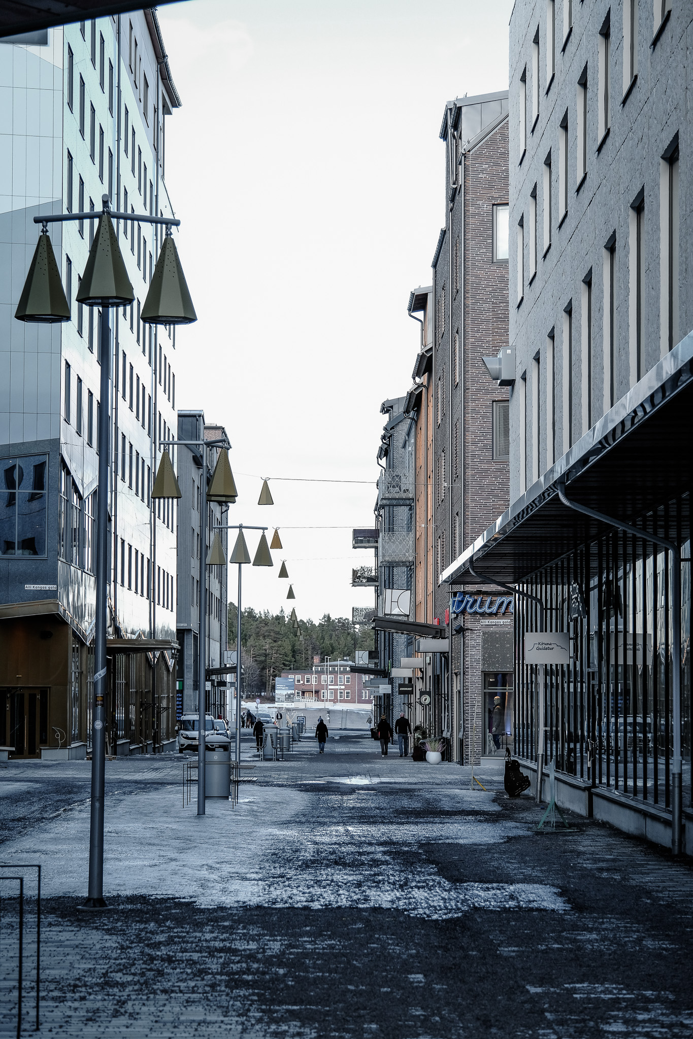 dscf7593.jpg