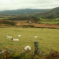 Kirándulás a Wicklow hegységben - (csak) :) képes beszámoló