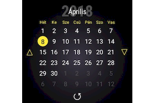 pace_calendar_widget_ikon.png