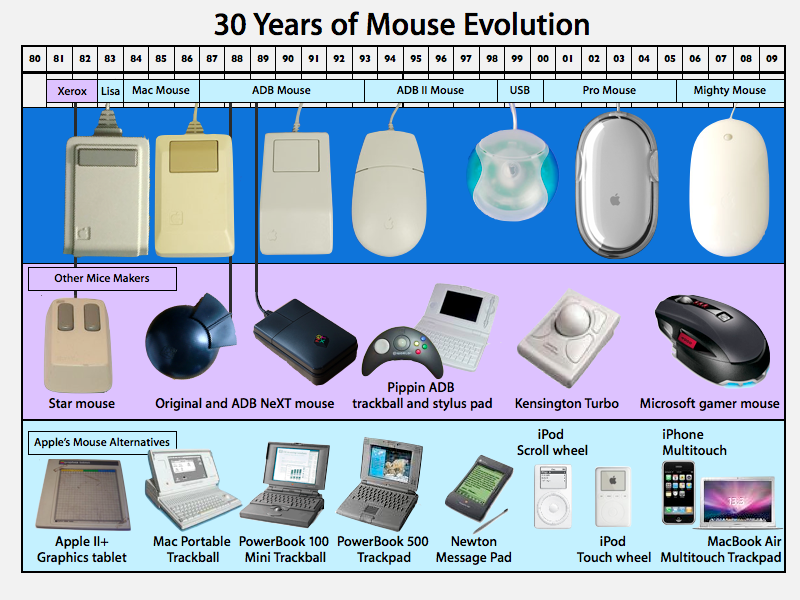 mouse evolution.png