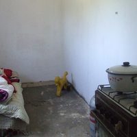 „Minek szül az ilyen, ha eltartani se tudja”