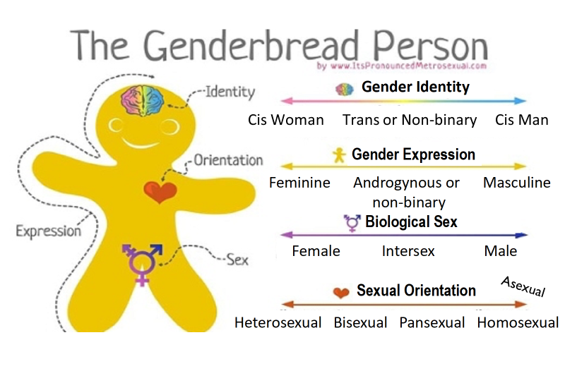 genderbread.png