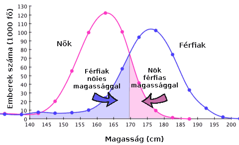 heights1-magyar.png