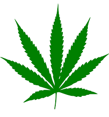 marijuana.png