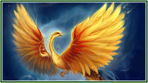 the-phoenix-bird.png