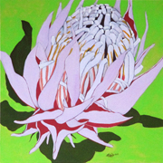 protea80x8020150209k.jpg