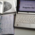 Koppány fiai és egy régi netbook