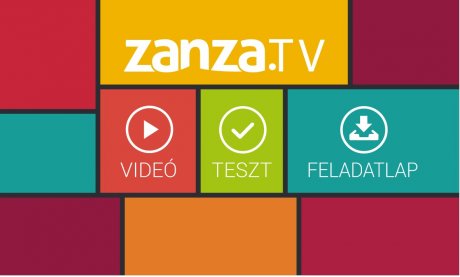 zanza_tv.jpg