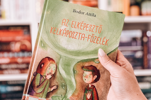 Bodor Attila: Az ​elképesztő kelkáposzta-főzelék