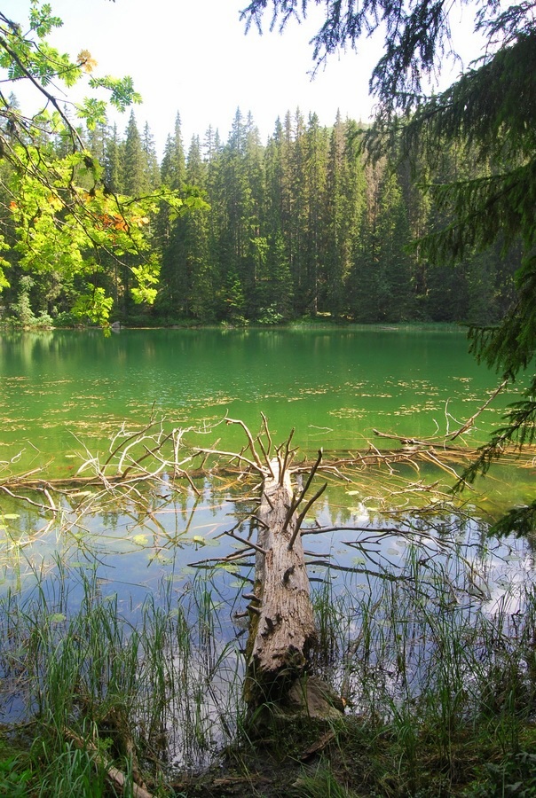 Zminje Jezero