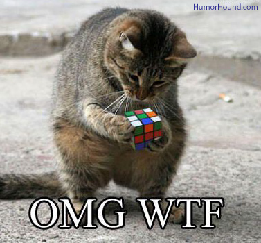 omg-wtf-cat-rubiks-cube.jpg