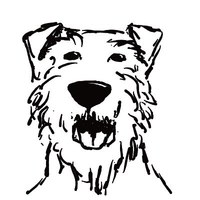 Boldog szülinapokat!