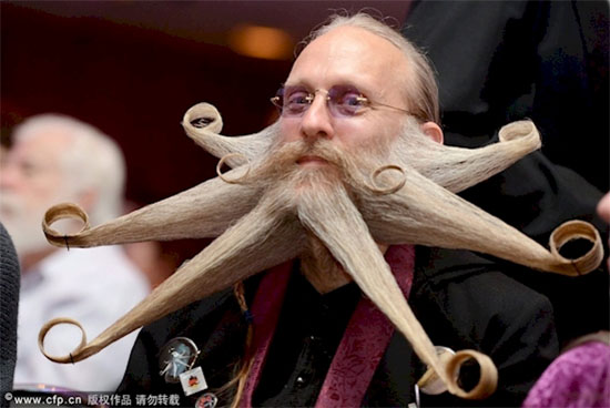 starfish.jpg