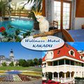 Wellness Hotel Kakadu. ... Romantikus Hétvége. Gyertyafényes wellness, masszázs a teljes kikapcsolódásért