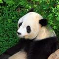Kína Óriáskörút, Peking