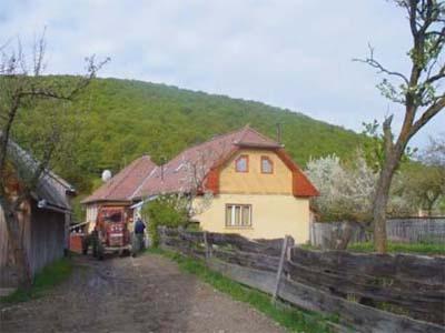 janosarpad.jpg