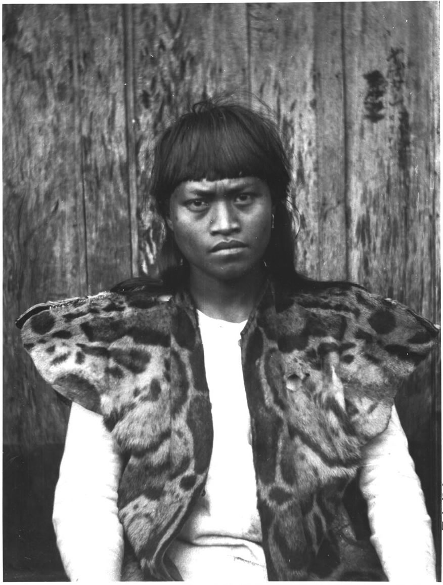 Az ausztronézeket a taiwani őslakosok képviselik. Ennyire markánsan elütő megjelenésű tagjaik a rasszok közötti keveredés miatt már csak ritkán fordulnak elő.